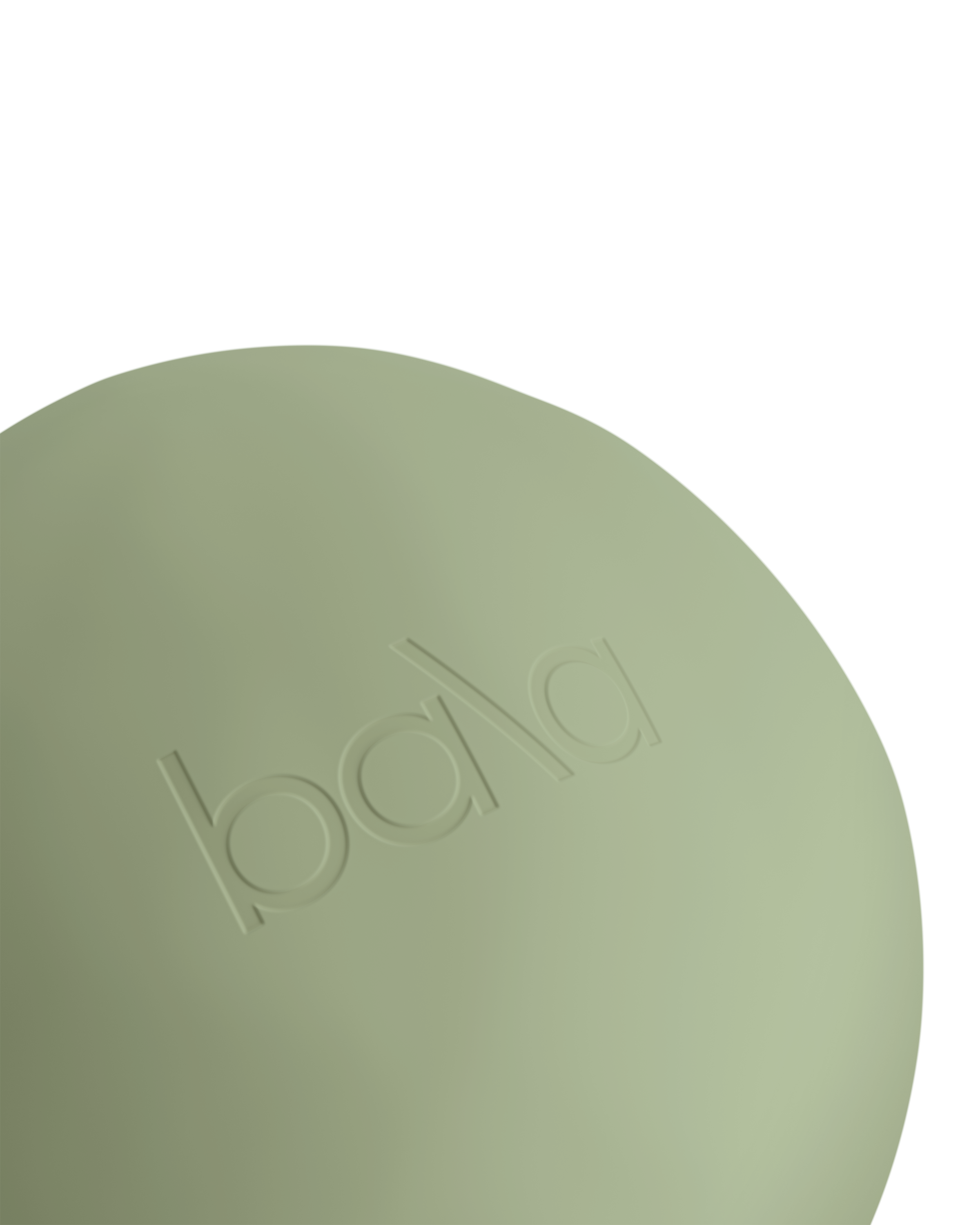 Bala Pilates Ball