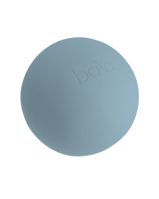 Bala Pilates Ball